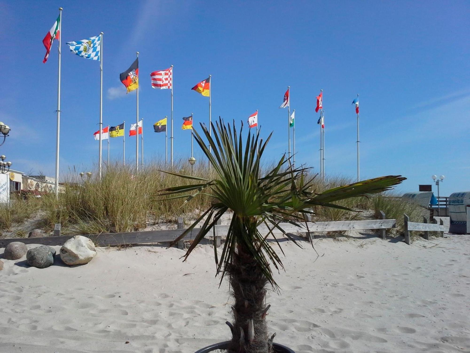 Haus Baltic - Whg 23 - Neu Inkl Saisonstrandkorb! 格洛米茨 外观 照片